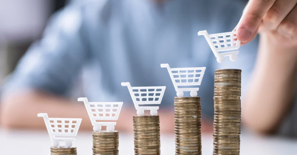 ecommerce strategy for beginners